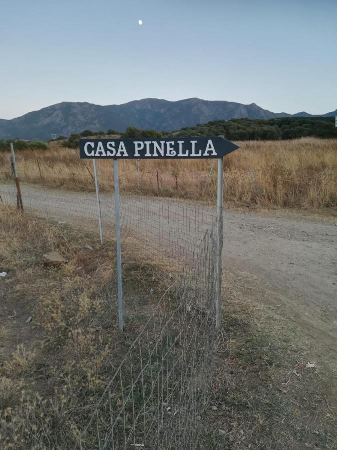 Casa Pinella Vila Villamassargia Exterior foto